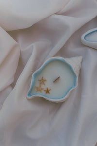 Wicked Shell Sea Shell Candle – Wicked Wicks